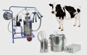 Dairy & Milking systems of RCS-Co